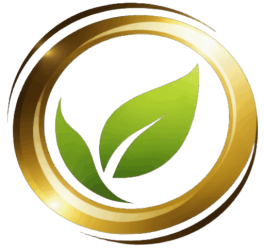 cropped-edited-photo.png